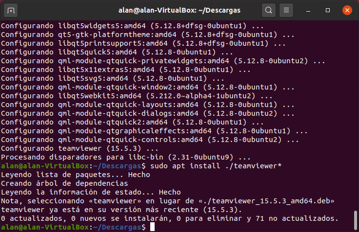 teamviewer instalación finalizada