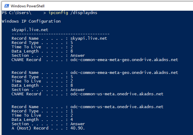 powershell ipconfig displaydns