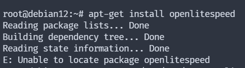 Debian 12 OpenLiteSpeed error