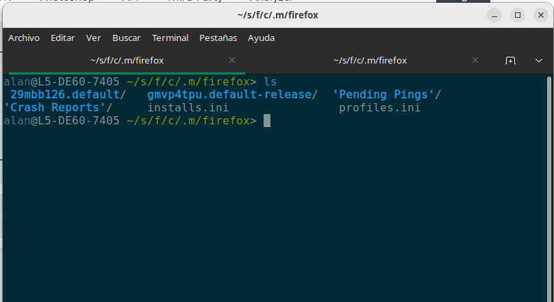Firefox snap profiles