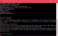 cygwin curl version