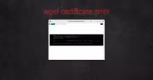 wget error cert